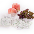 OEM Wholesale Small Pack Ethylene Absorber For Fruit And Vegetables